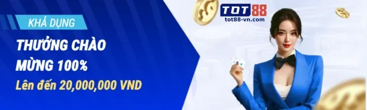 Tổng quan về Điều Khoản Dịch Vụ nem88